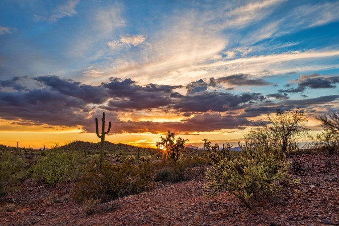 Picture of Arizona desert sunset