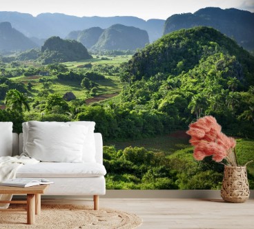 Bild på Landscape of valley of VinalesCuba