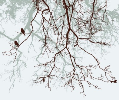 Afbeeldingen van Branches of the trees in the fall