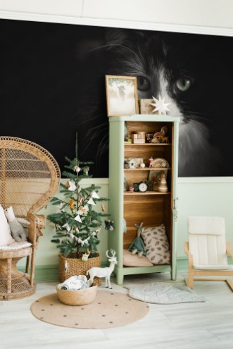 Afbeeldingen van Black and White cat with green eyes
