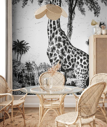 Image de Giraffe vintage engraving