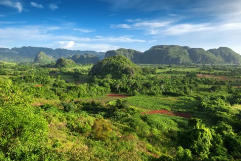 Image de Landscape of valley of VinalesCuba