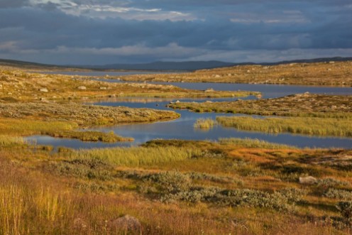 Picture of River through tundra in high Hardangervidda Norwegian plateau