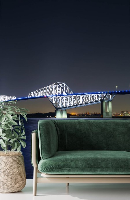 Bild på Nightview of Tokyo Gate Bridge 