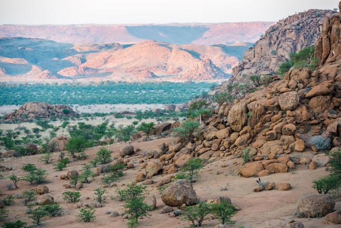 Afbeeldingen van Rocky landscape of Namibia with huge boulders and green trees