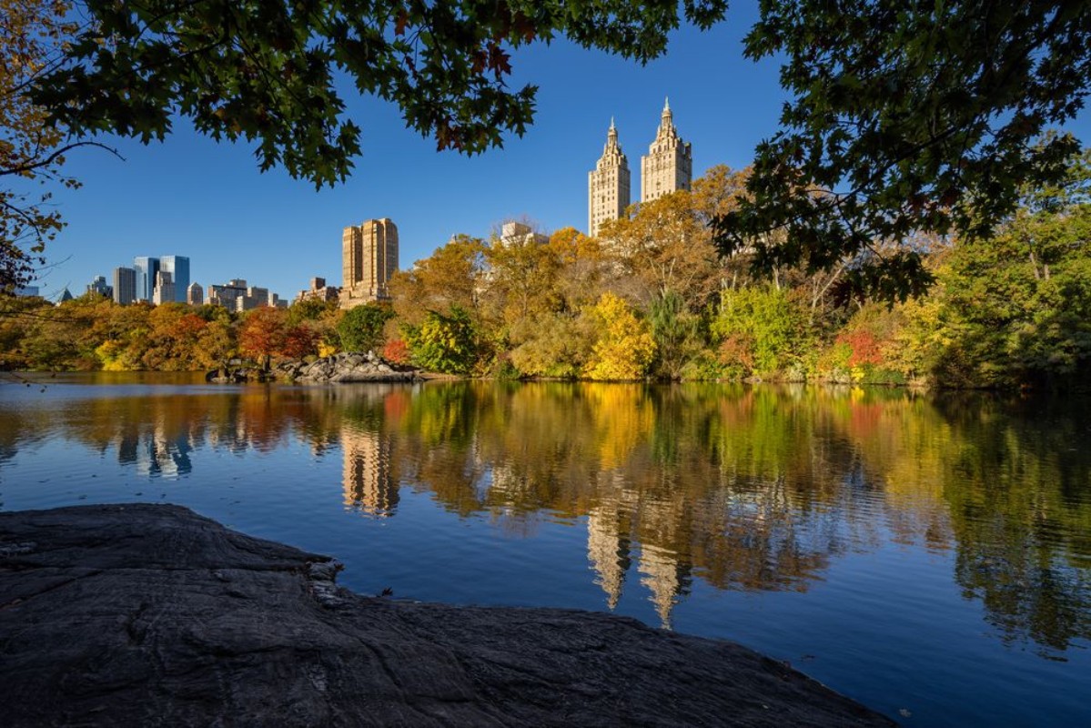 Bild på Fall in Central Park at The Lake Cityscape sunrise view with colorful Autumn foliage on the Upper West Side Manhattan New York City
