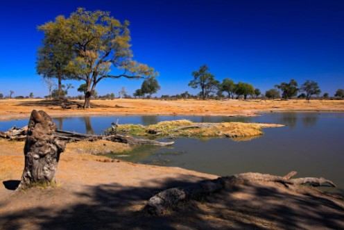 Afbeeldingen van Water hole in Africa Tipical African ladscape with dark blue sky Water lake in Botswana Trees with pond