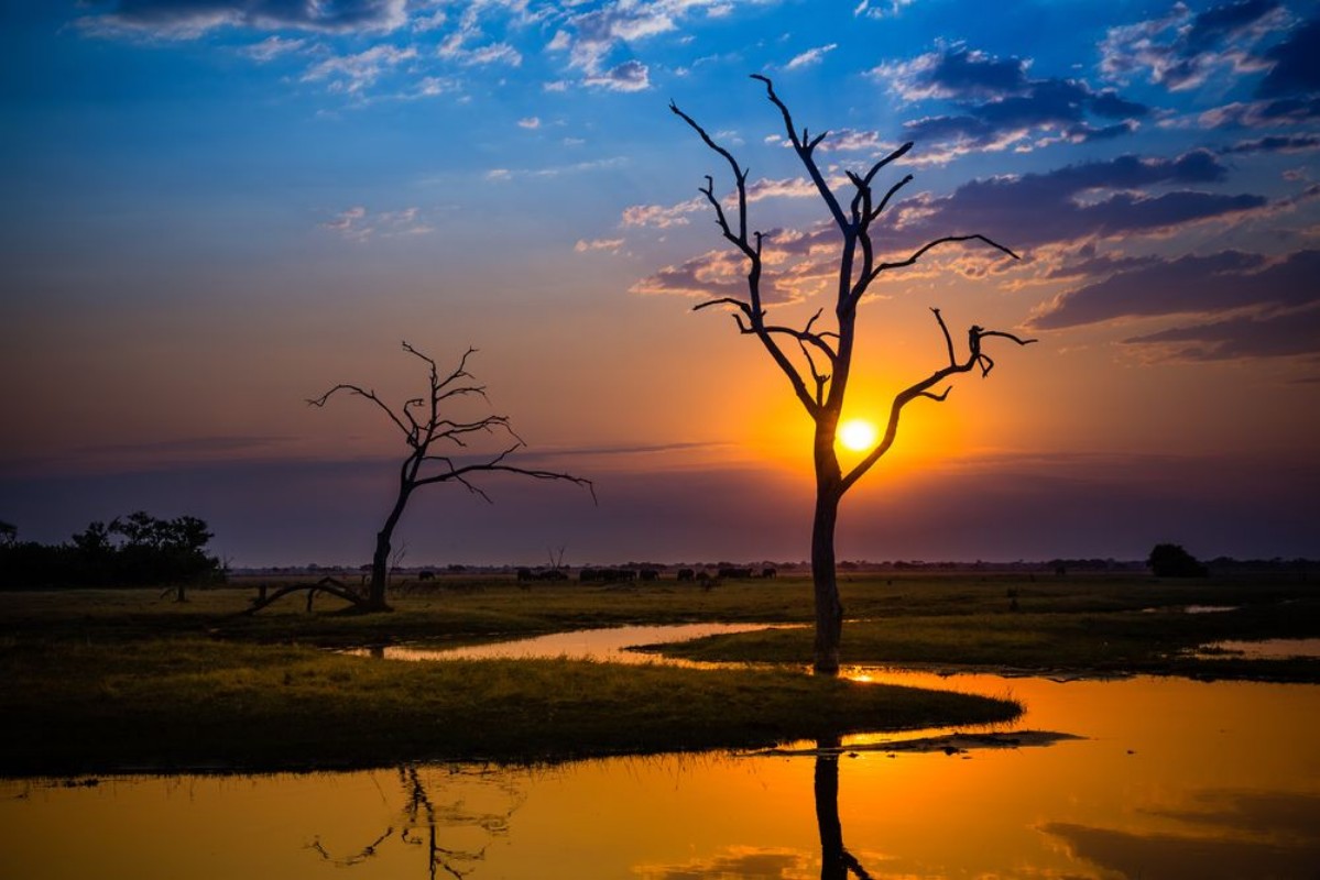 Bild på Botswansk solnedgång