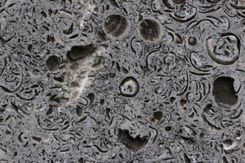 Picture of Patterns on the rock