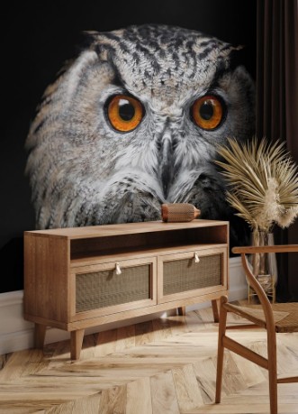 Bild på Portrait of a Beautiful Owl Owl on black background