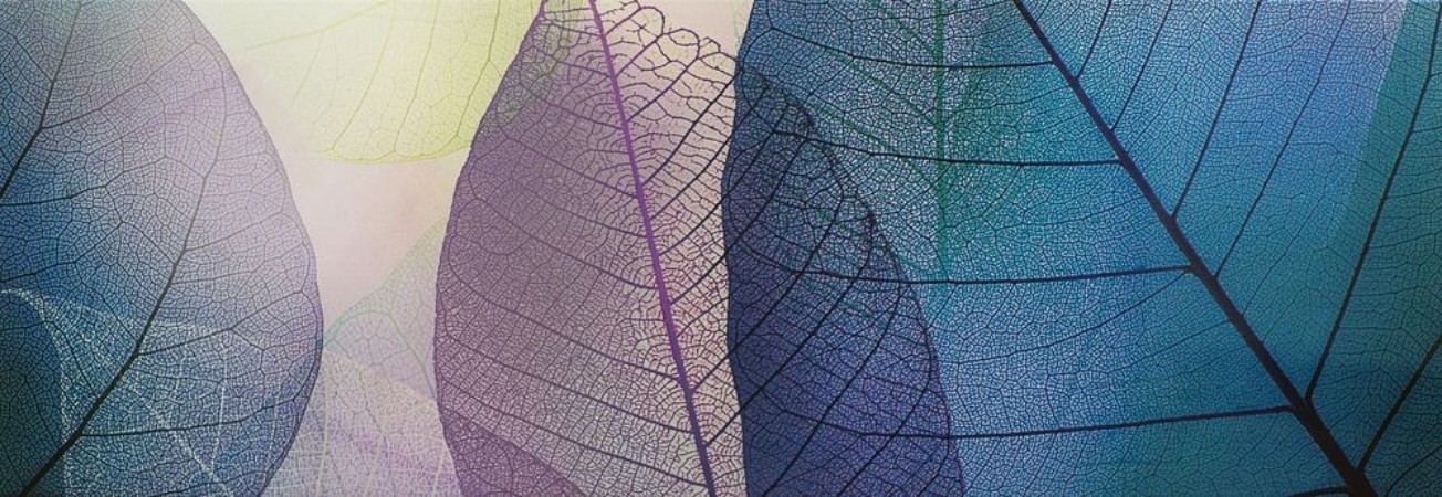 Bild på Tile transparent leaves
