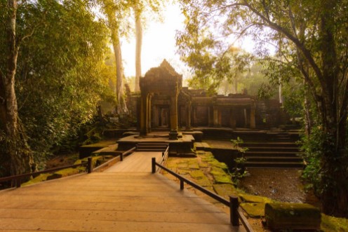 Bild på Ancient Ta Prohm Temple in the morning sun rays Angkor Cambodia Ruin