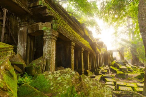 Image de Ancient Ta Prohm Temple in the morning sun rays Angkor Cambodia Ruin