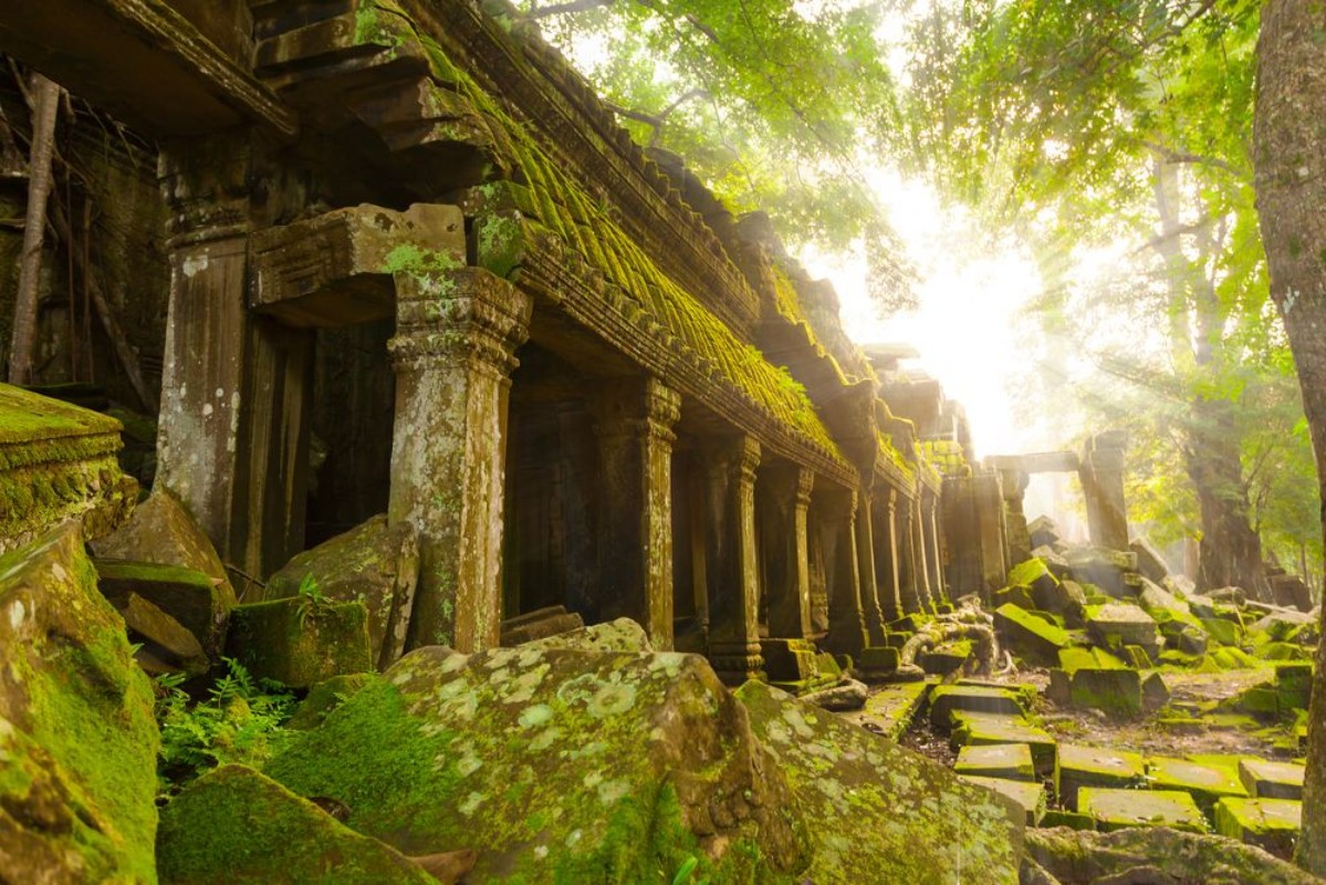 Picture of Ancient Ta Prohm Temple in the morning sun rays Angkor Cambodia Ruin