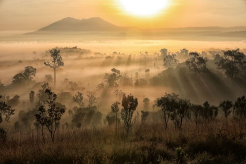 Image de Beautiful sunset and Foggy clouds in forest at Thung Salaeng Lua
