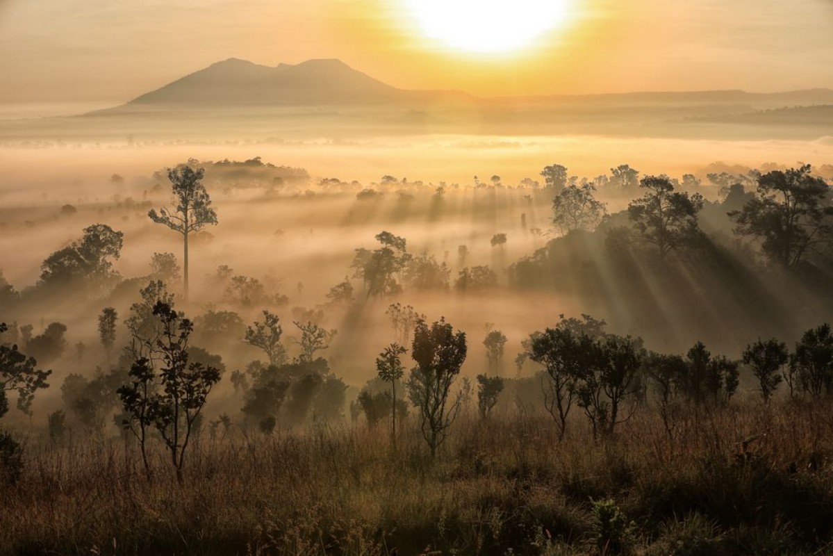 Image de Beautiful sunset and Foggy clouds in forest at Thung Salaeng Lua