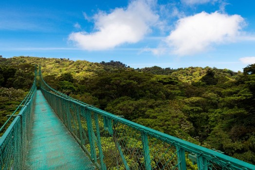 Bild på Suspended bridge over the canopy of the trees in Monteverde Costa Rica Central America
