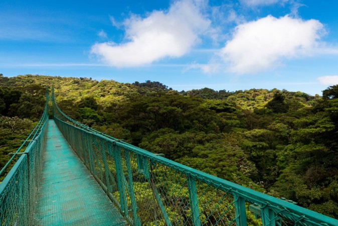 Afbeeldingen van Suspended bridge over the canopy of the trees in Monteverde Costa Rica Central America