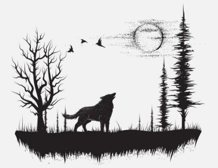Afbeeldingen van Wolf howling at the moon