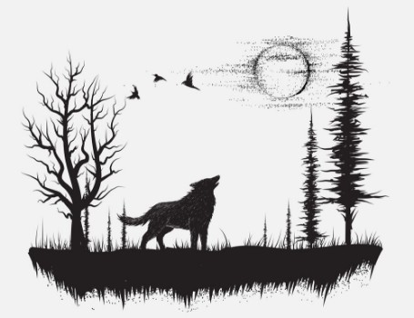 Picture of Wolf howling at the moon