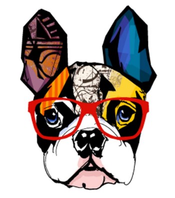 Picture of Portrait of french bulldog wearing sunglasses