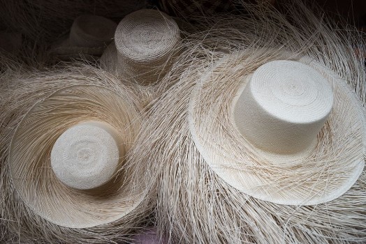 Bild på Unfinished panama hats 