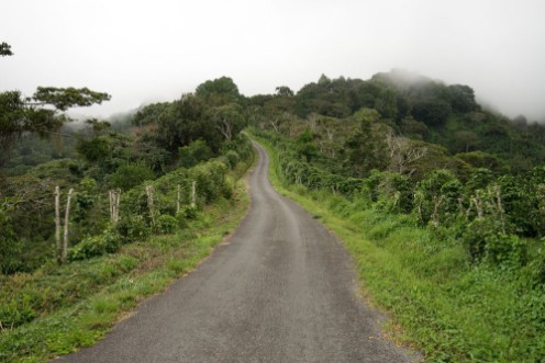 Afbeeldingen van Gravel road in Panamas highlands by Boquete