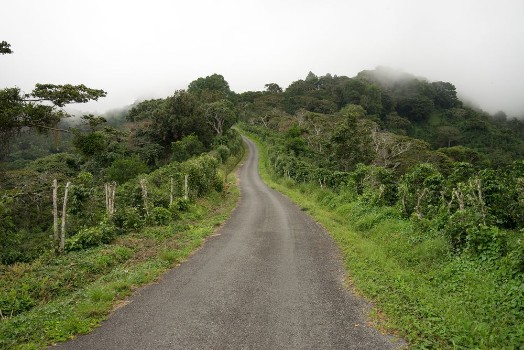 Bild på Gravel road in Panamas highlands by Boquete