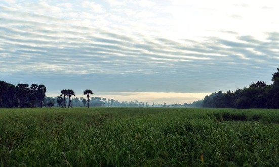 Bild på Early morning rural area of Cambodia near Angkor Tepmles