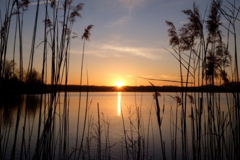 Bild på Sunset at Annone Lake