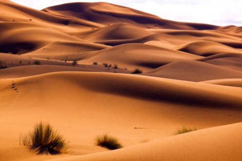 Bild på Erg Chebbi Dunes Sahara Desert Morocco North Africa March