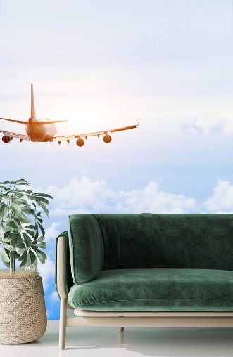 Afbeeldingen van Airplane fly in the sky international passenger flight travel concept background