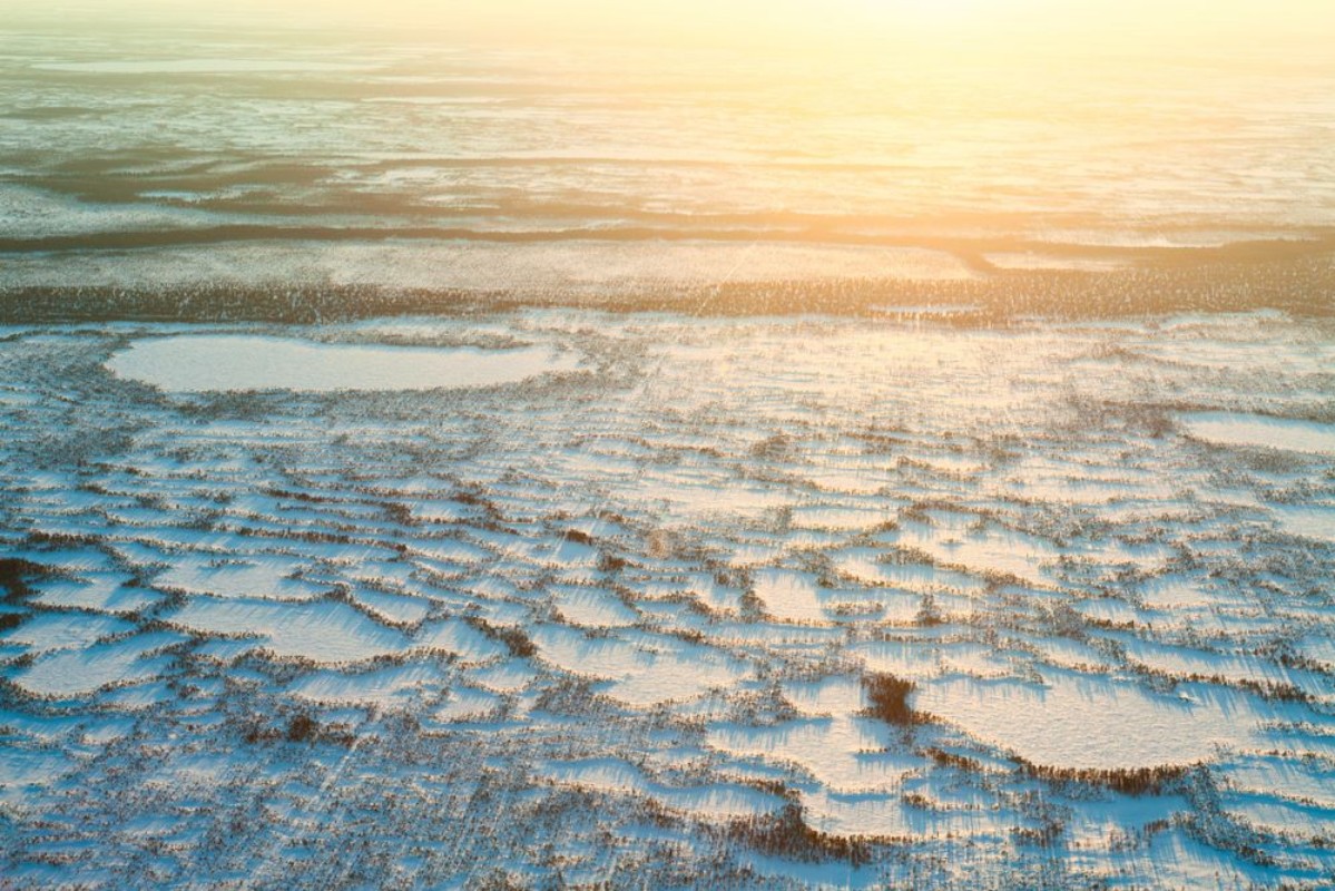 Afbeeldingen van Short winter day in tundra top view