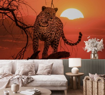 Afbeeldingen van Sunset leopard on branch