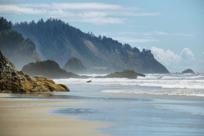 View of wild beach in Oregon photowallpaper Scandiwall