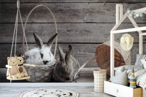 Afbeeldingen van Rabbits on wooden background