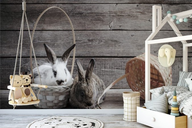 Picture of Rabbits on wooden background