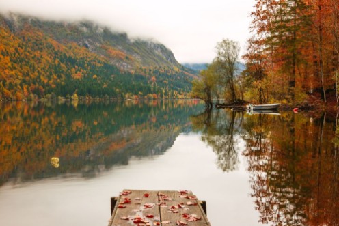 Image de Beautiful autumn scenery at lake Bohinj
