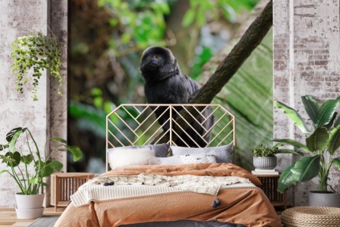 Afbeeldingen van Black Goeldis Marmoset Sitting on the Vine