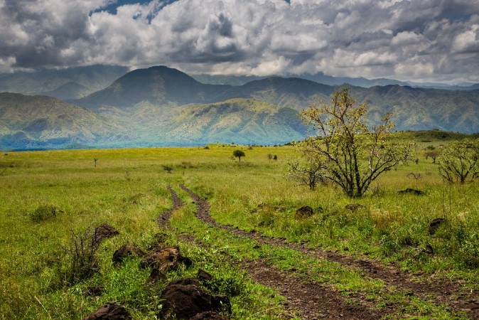 Picture of Nechisar National Park Arba Minch Ethiopia