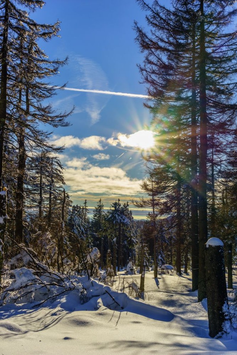Afbeeldingen van Zauberhafte Winterlandschaft aufgenommen im Harz Deutschland 