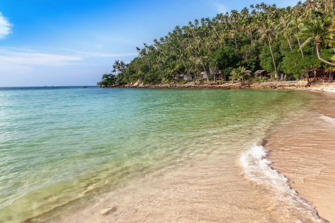 Bild på Beautiful tropical landscape blue water green palms Thailand