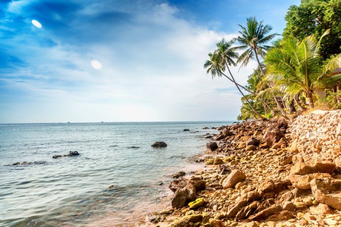 Image de Beautiful tropical landscape blue water green palms Thailand