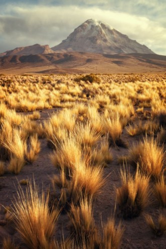 Bild på Landscape with the sajama volcano in the background  plateau National Park bolivia