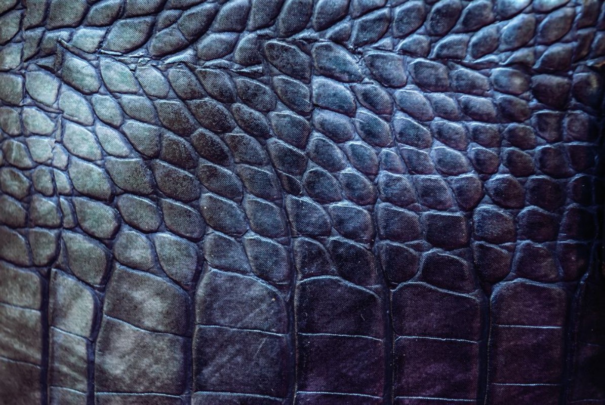 Afbeeldingen van Reptile leather texture