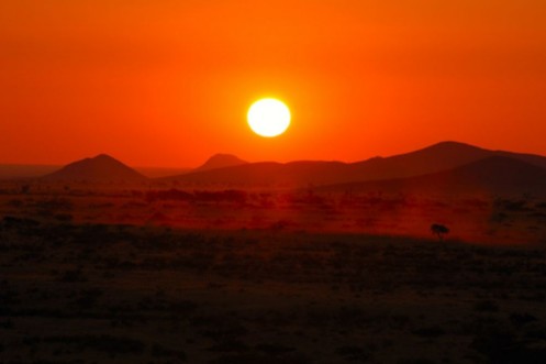 Afbeeldingen van Impressive sunset in the Namib of Namibia