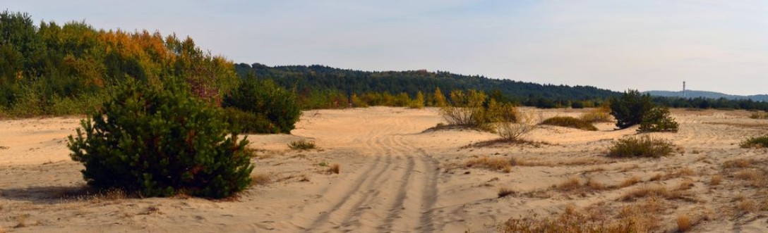 Bild på Pustynia Bdowska  Bdw Desert