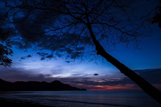 Picture of Twilight over Playa Matapalo