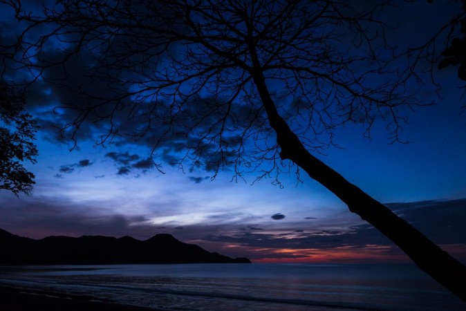 Afbeeldingen van Twilight over Playa Matapalo
