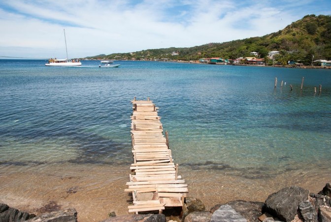 Picture of Roatan Island Bay